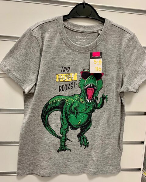 Īsroku krekls 5-6 gadi/116cm/Pelēks ar zaļu dinozauru-This Dude Rocks!